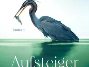 “Aufsteiger” von Peter Huth: Schlüsselroman über Medienszene