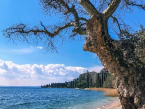 Gardasee-Strand geht verloren