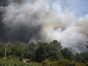 Waldbrände in Spanien zerstörten weitere 30.000 Hektar Land