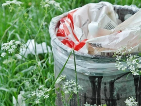 Von Waste Watchern bis hin zur Rattenbekämpfung