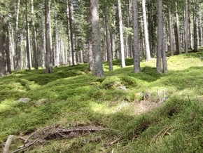 Heimatpflegeverband kritisiert Speicherbeckenprojekt in Antholz