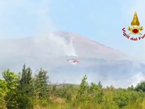 Waldbrand am Vesuv