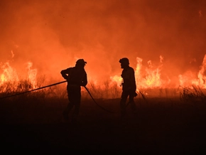 Eine Million Hektar Land bei Waldbränden in EU vernichtet