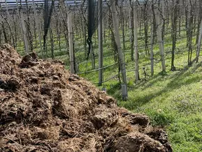 Düngerkreisläufen zwischen Viehwirtschaft sowie Obst- und Weinbau