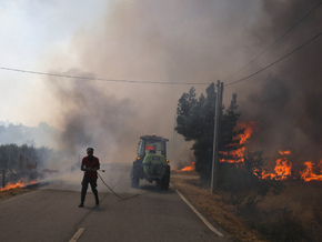 Vier Tote bei Waldbränden in Portugal