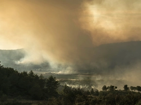 Waldbrand in Südfrankreich vernichtet tausende Hektar