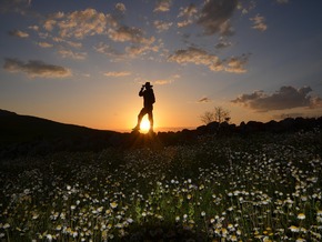 Überraschung beim Wandern: Da nascht jemand mit – VIDEO