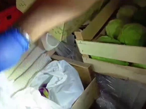 Finanzpolizei stoppt Lieferung von Ekel-China-Essen – VIDEO