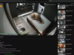 „Tausende intime Videos wurden im Internet an Voyeure verkauft“