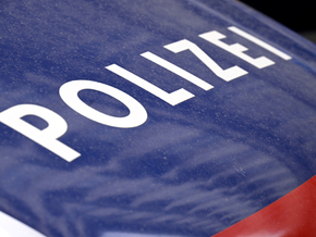 Auto kollidiert in Tirol mit auf Straße stehendem Yak