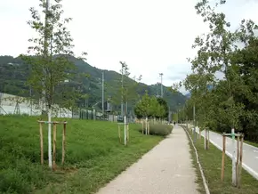 Grieser Promenade erstrahlt mit 100 neuen Bäumen