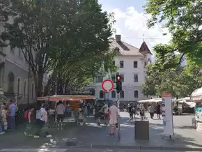 Aufruf zum Schutz der Bäume am Kornplatz in Meran