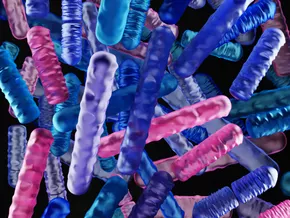 Die geheime Sprache deines Darms