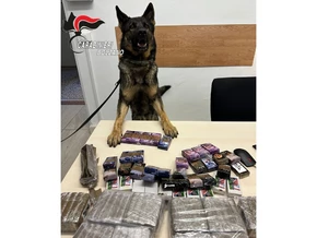Brunecker Carabinieri sichern Drogen im Wert von 100.000 Euro