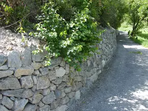 Taufers im Münstertal: Trockenmauern werden instandgesetzt