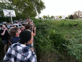 “Emil” auf der Suche nach Abkühlung