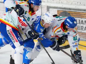 Duell der Traditionen und weitere spannende Begegnungen in der AHL