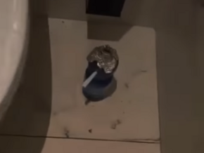 Crack-Pfeifen in Bozner Waltherpark