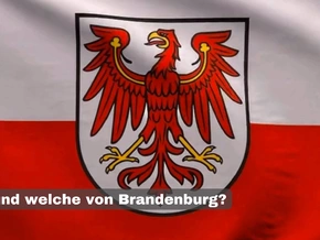 Erkennt ihr die Südtiroler Flagge?