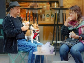 Hunde im Restaurant: Süß oder störend?