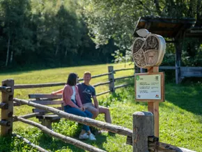 Neuer Apfelrundweg zwischen Prad und Tschengls feierlich eröffnet
