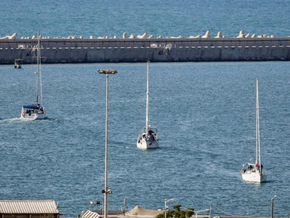 Alle vier Gaza-Aktivisten aus Österreich sicher an Land