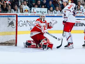 Starke Foxes stürmen Salzburg