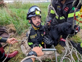 Hund aus acht Meter tiefen Schacht gerettet