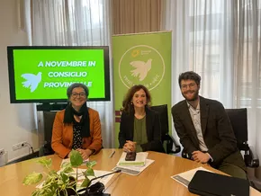 Gewalt gegen Frauen mit Behinderung