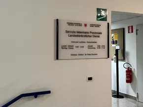 Blauzungenkrankheit in Südtirol aufgetreten
