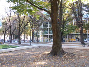 Dramatischer Einsatz beim Walther Park 