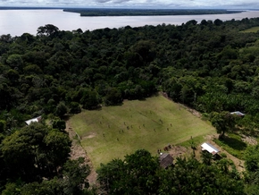 Abholzung im brasilianischen Regenwald geht weiter zurück