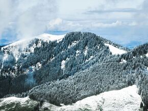 Leichenfund in den Alpen