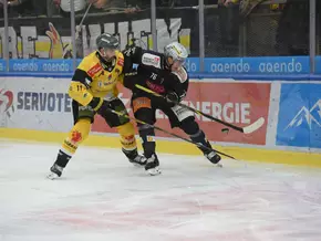 Wölfe siegen auch in Wien