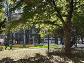 Start frei für den 1. „WaltherPark Run“