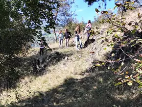 b*nature aus Brixen will Südtiroler Kulturlandschaft retten