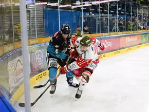 Foxes kehren mit drei Punkten aus Linz zurück