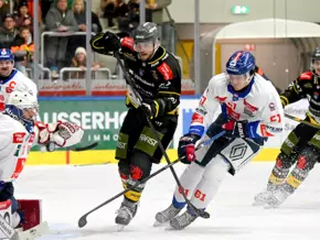 Mit klarem Sieg gegen die Haie zurück an die Tabellenspitze