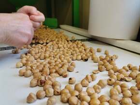 Darum wird Nutella bald deutlich teurer