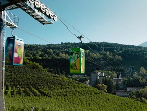 Am Nonsberg steht die 1. Apfelseilbahn