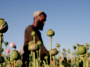 Opiumproduktion in Afghanistan sinkt weiter
