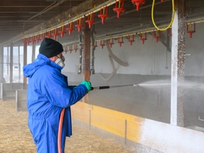 Nach weiterem Vogelgrippe-Fall Stallpflicht ab Donnerstag