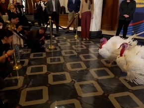 Hier lässt Trump Gnade walten - VIDEO