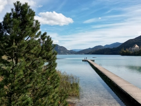 Herbst 2025 war etwas zu mild