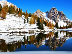 Naturmuseum Südtirol sucht Fotografie-Talente