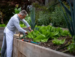 Erfolgreich regional