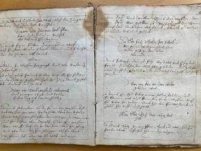 Wie man früher Tiere heilte