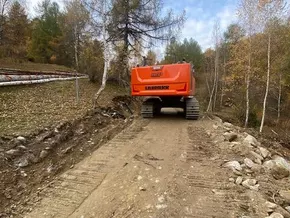 Trotz Kritik und geschützten Uhus: Umstrittene Forststraße wird gebaut