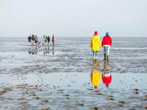 Was das Wattenmeer und die Dolomiten verbindet