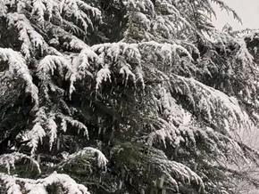 Winteridylle bringt Chaos auf Südtirols Straßen